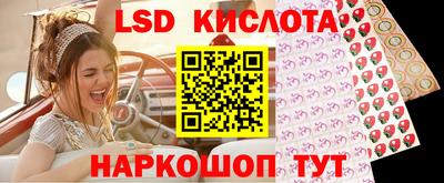 твердый Новозыбков