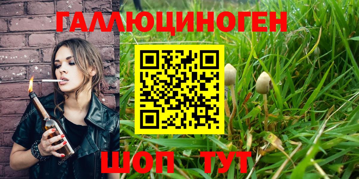 Галлюциногенные грибы Psilocybine cubensis Соль-Илецк